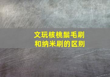 文玩核桃鬃毛刷 和纳米刷的区别